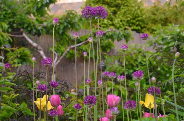 Maiblomstring i Bakklandshagen