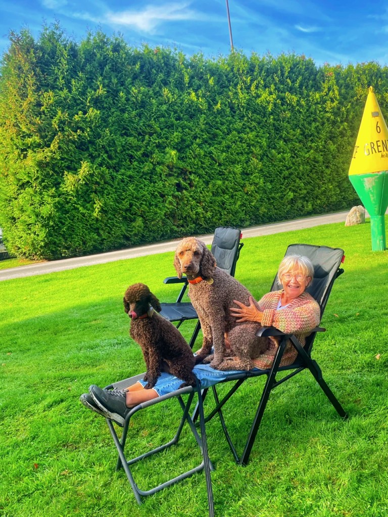 En eldre kvinne sitter på en stol utendørs med to hunder, en svart og en brun, som begge er Poodle. Bakgrunnen er en grønn hekk med en blå himmel over.