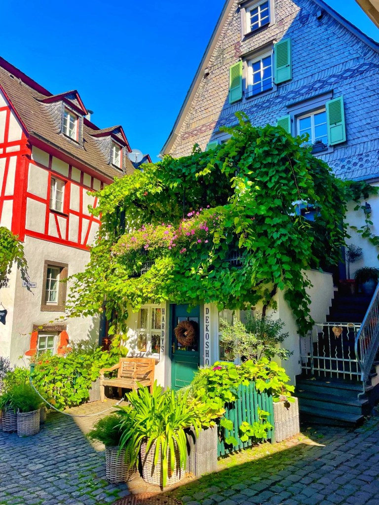Sjarmerende hus med grønnklatreplanter, hage med blomsterkasser og en benk foran inngangen, under blå himmel.